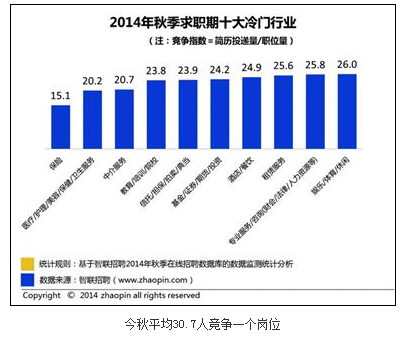 收入证明_咨询业 收入